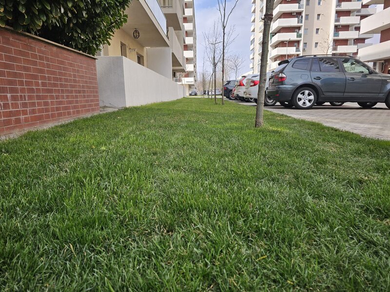 Metalurgiei, Parc Tudor Arghezi,